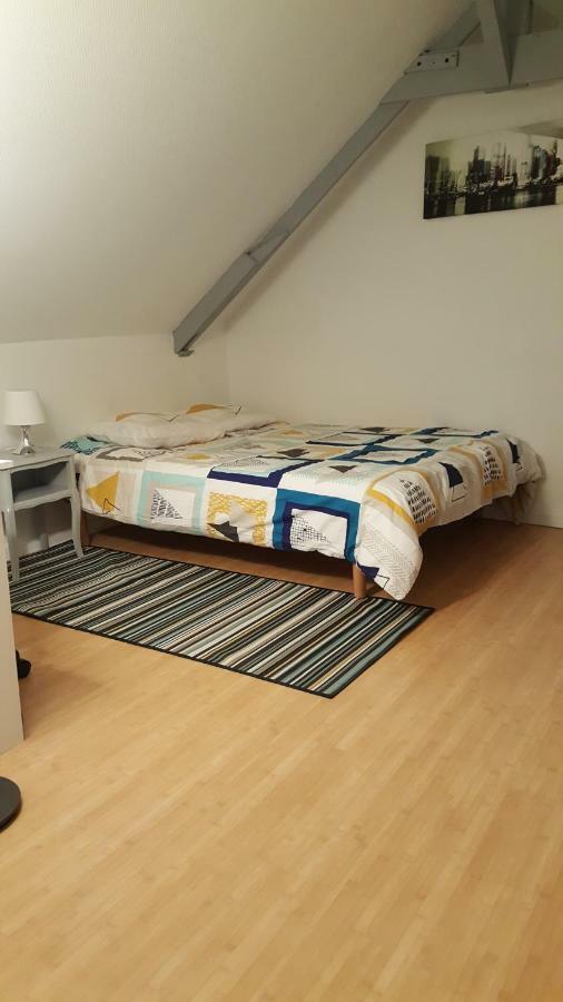 Joli Duplex Gare - Centre Ville Ренн Экстерьер фото
